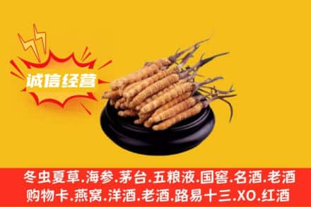 贵港市覃塘回收冬虫夏草